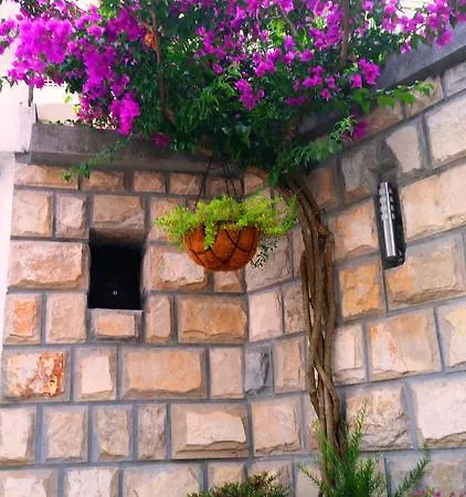 Guest house Klaris 4*